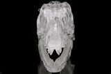 Carved Quartz Crystal Dinosaur Skull - Huge #199462-2